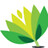 institute_ipl